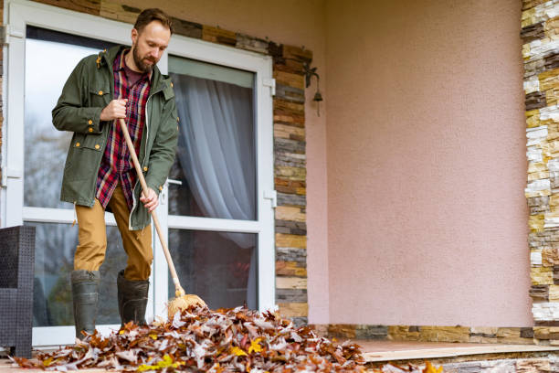 Best Furniture Removal Near Me  in Wareham Center, MA